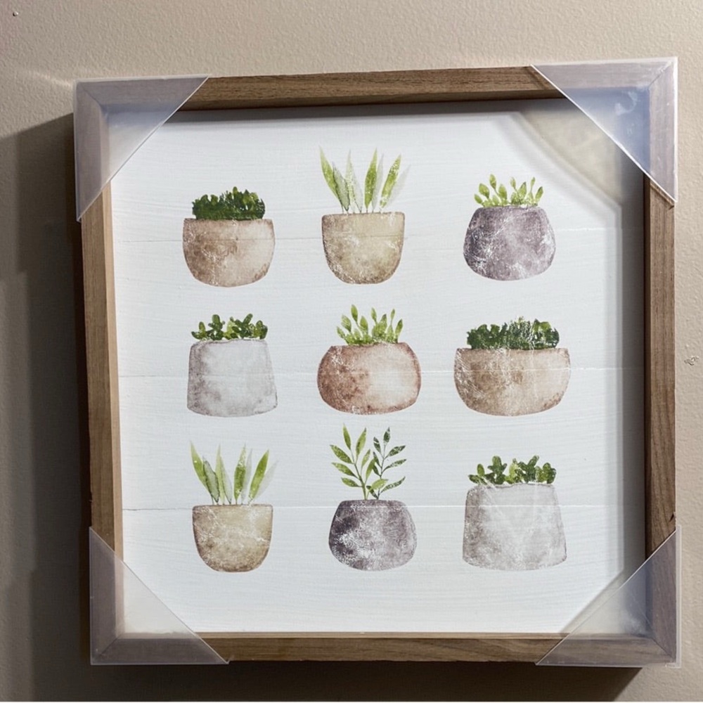 Framed Botanical Wall Art with Succulent Prints